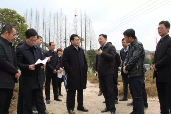 副省长隋忠诚调研长沙台属企业金井茶业