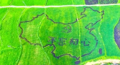 “不忘初心”中国地图彩色稻田引来台湾客商合作