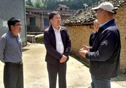 台湾现代农业在桂阳县开花结果