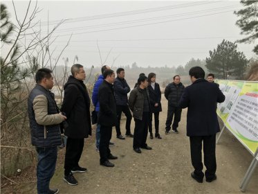 省委台办副巡视员左新良一行赴岳阳调研指导对台经济工作
