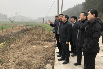 省委台办主任肖祥清一行调研湘潭县潭口新农村示范片建设情况