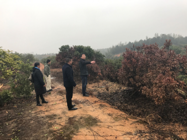 长沙县台办积极关心受灾台属企业