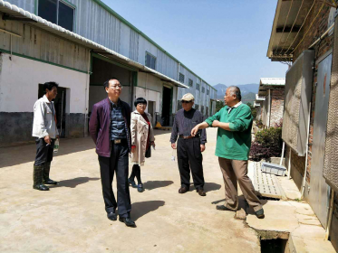 临武县台办到台资企业枫桥畜牧养殖限公司调研