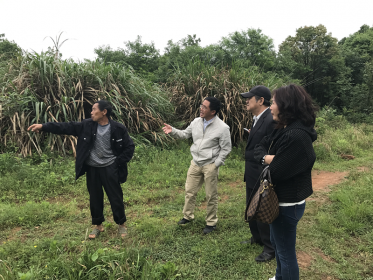 台湾海峡农经科技交流协会考察澧县林果业