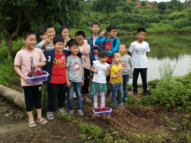 长沙县举办两岸少年儿童联谊活动