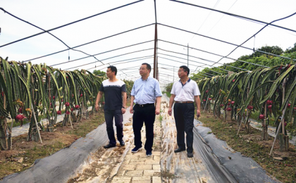 长沙市台办主任袁义和调研涉台农企多彩农业科技有限公司