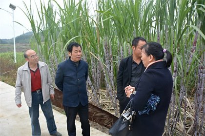 省委台办副巡视员左新良一行赴隆回县大坪村调研脱贫攻坚工作