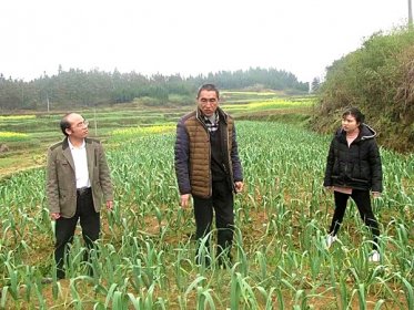 湖南省委台办真情扶贫助民增收