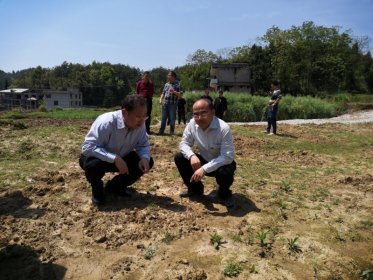 省委台办副主任黎里溪一行赴大坪村调研指导脱贫攻坚工作