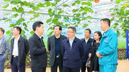 中华全国台湾同胞联谊会携澳门台商协会赴怀化鹤城考察