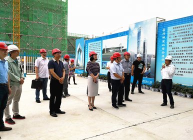 肖祥清主任一行调研台湾新金宝项目建设情况  