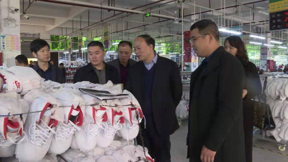 湖南省委台办副巡视员孙银生赴怀化沅陵、常德汉寿台资企业进行调研
