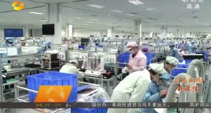 湖南省有序推动台资企业复工复产