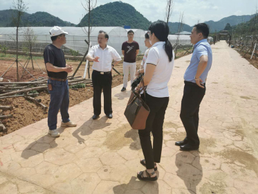 永州市委副秘书长台办主任周生来赴宁远调研对台工作
