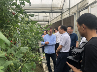 常德市委书记周德睿走访调研桃源县台资企业