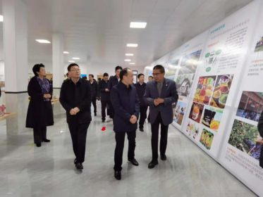 常德市委书记周德睿赴台资梅百华食品加工产业园项目视察