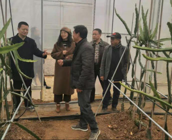 永州市委台办深入宁远、蓝山指导台企加强科技创新