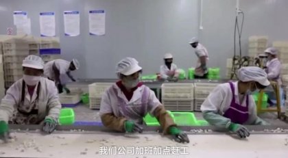 别样风采 在湘女性台胞、湘籍陆配精彩剪影