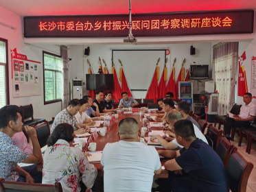 长沙市委台办组织“乡村振兴顾问团”赴宁乡东湖塘镇麻山村实地考察调研座谈
