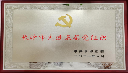 长沙市台企广汽东阳、和锐镭射荣获“先进基层党组织”称号