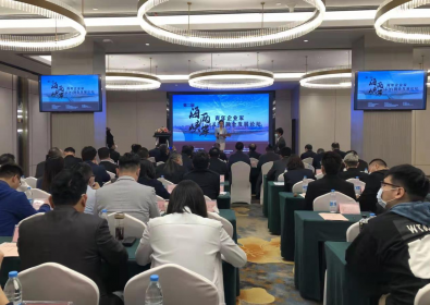 第二届海峡两岸(长沙)青年企业家融合发展论坛举行