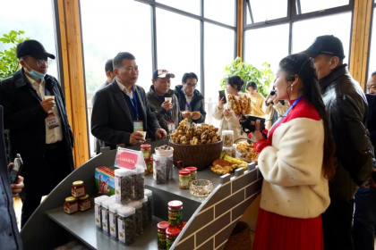 双牌县举办湖南阳明山首届海峡两岸“品读和美双牌、助力乡村振兴”引商引才