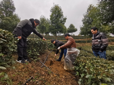 人勤春来早 项目开工忙 益阳市台办春节走访台企