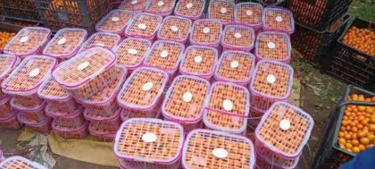 齐心协力助台农 排忧解难暖人心