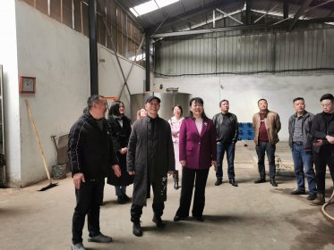 益阳市委台办赴桃江调研台企促推益台经贸合作