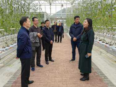 省委台办交流合作中心、长沙市委台办调研长沙有机谷农业项目