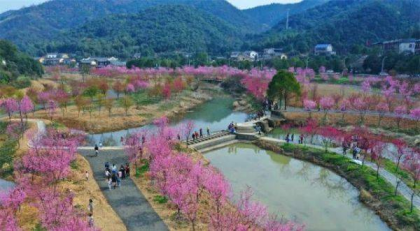 湘潭首届樱花旅游文化节在这里“盛开”