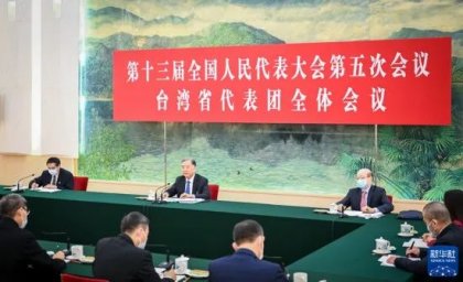 汪洋参加台湾代表团审议