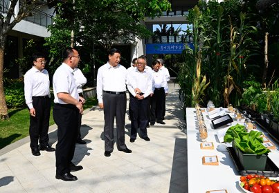 <b>习近平在海南考察</b>