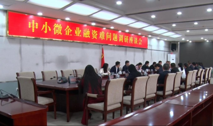 祁阳为中小微企业融资难题“开处方”