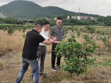 常德市委办领导走访调研台商农产品种植基地