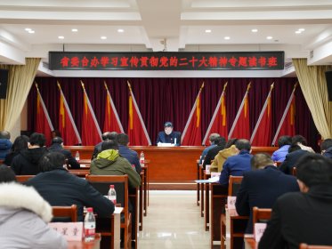 深入学习贯彻党的二十大精神 推动湖南对台工作高质量发展 ——省委台办学习