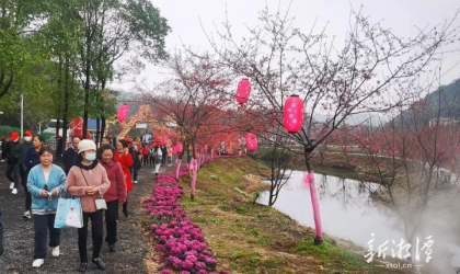 2023湘潭第二届樱花旅游文化节拉开帷幕
