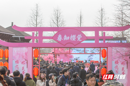 樱花如霰游人如织 桂阳县打造台资乡村休闲旅游品牌