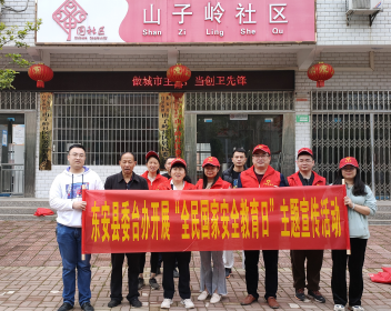 东安县委台办开展全民国家安全教育日主题宣传活动