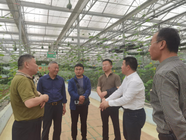 多地经贸考察团赴怀化交流考察 共谋怀台合作新机遇
