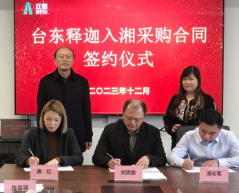 台东县番荔枝入湘采购合同正式签约