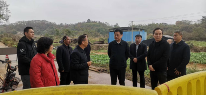 省委台办主任曾智夫一行赴安仁县坪上村调研乡村振兴工作