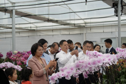 娄底市台资企业鑫垚蝴蝶兰基地正式开园