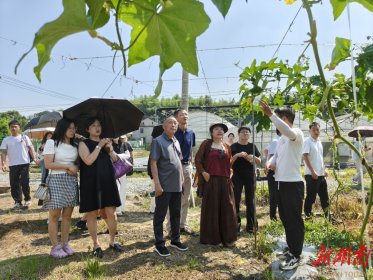 粽叶飘香牵两岸 丝瓜传情话共赢 台胞台商端午文化交流暨产业招商推介活动在芦淞举行