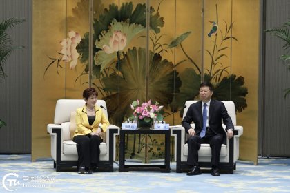 宋涛会见洪秀柱一行