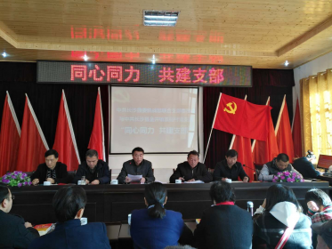 长沙县委台办党组织开展“同心同力 共建支部”活动