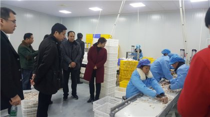 永州市台办到江永县调研对台工作并走访慰问困难台胞台属
