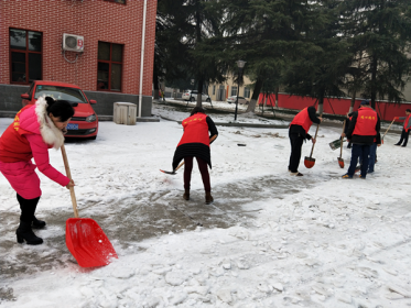 临澧：“同心同行”聚合力 除雪清障保平安