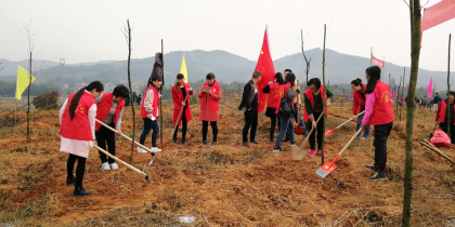 东安台办践行绿色理念 厚植生态文明