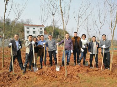 株洲市委台办参加义务植树活动
